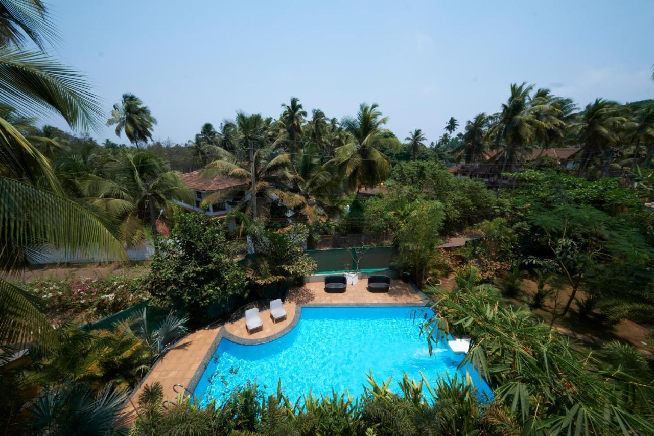 Fig House Anjuna-Chapora Road , Siolim 1Bhk Suite Oxel Exterior foto